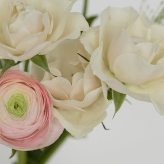 Ivory & Blush Medium Arrangement - Plum Sage Flowers