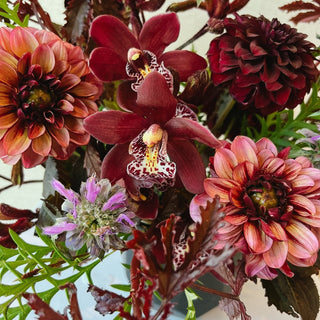 Spiced Plum - Plum Sage Flowers