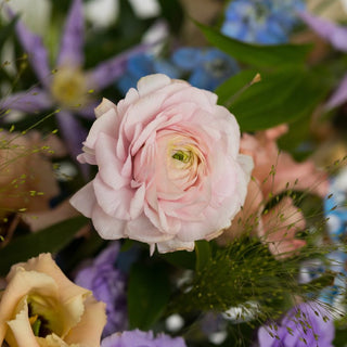 Pastel Boutonniere - Plum Sage Flowers